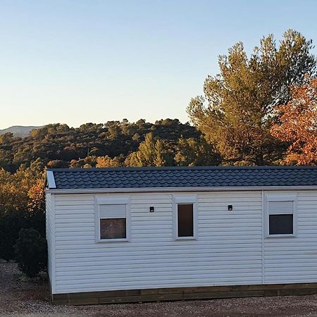 Charmant Mobil-Home Rocbaron Εξωτερικό φωτογραφία